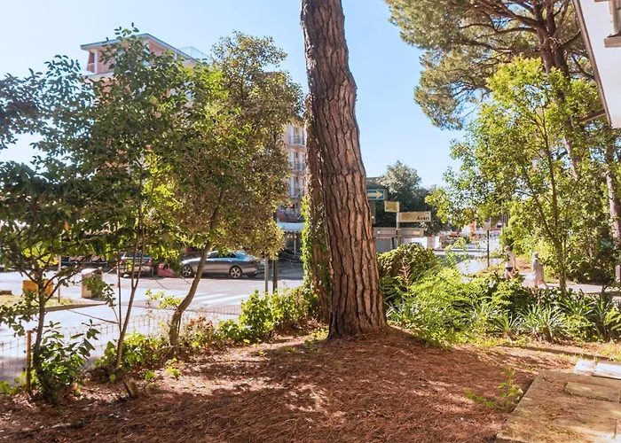 Dancalia ايراكليا ماري