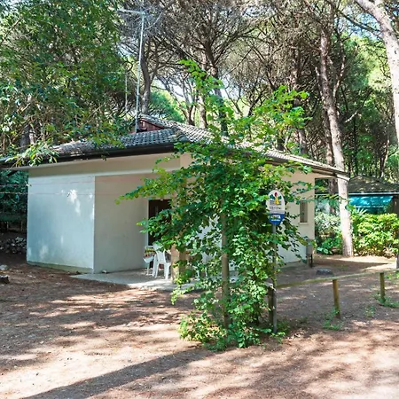 Dancalia Appartement