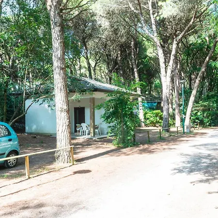 Dancalia Lejlighed *