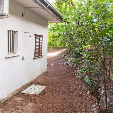 Appartement Dancalia *