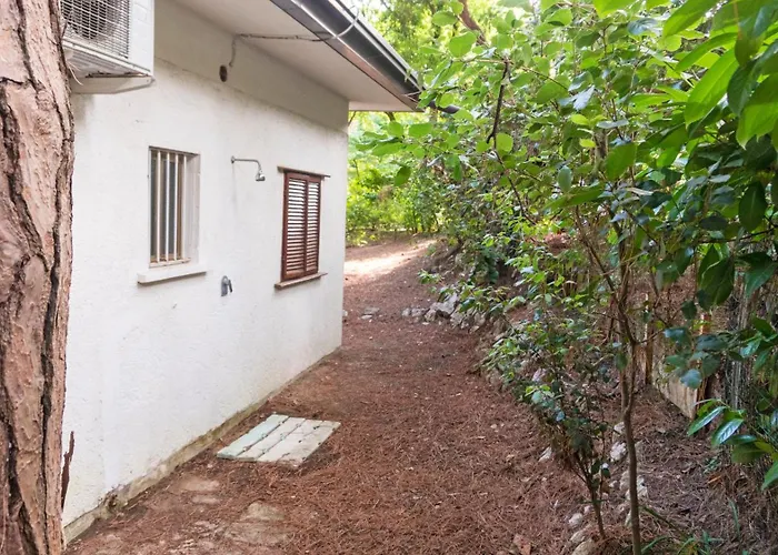 Apartament Dancalia *